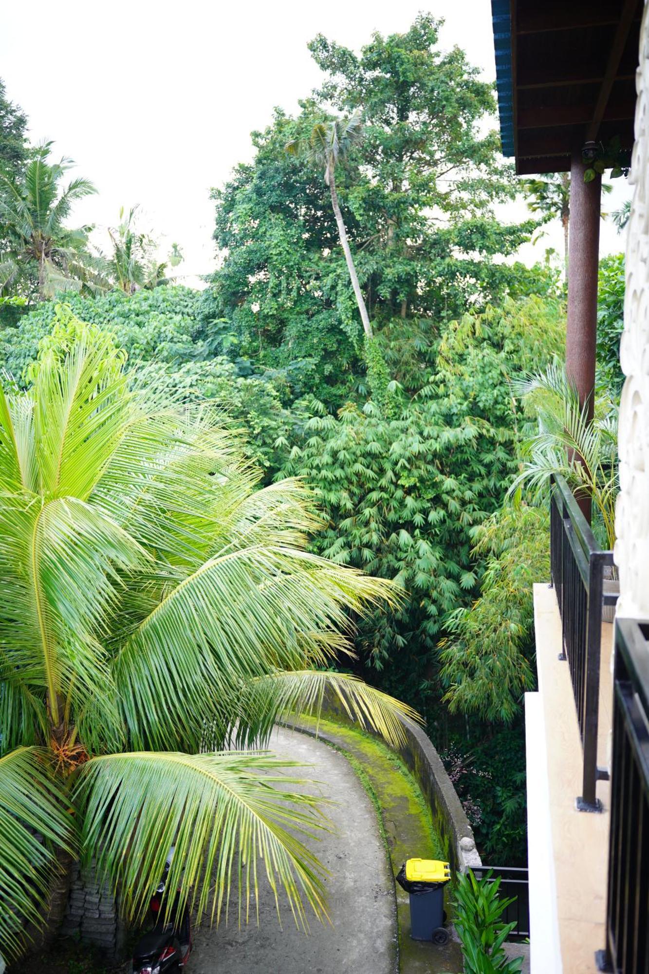 Central House Ubud Exterior foto