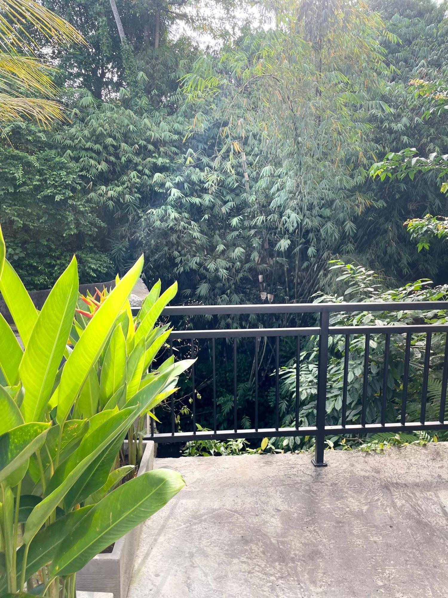Central House Ubud Exterior foto